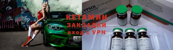 прущие грибы Михайловск