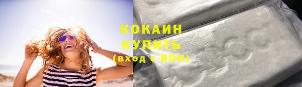 прущие грибы Михайловск