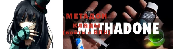 прущие грибы Михайловск