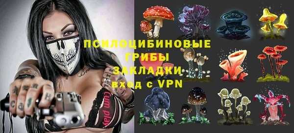прущие грибы Михайловск